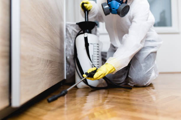 Best Bed Bug Extermination  in Pomona, CA