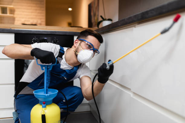 Best Affordable Exterminators  in Pomona, CA