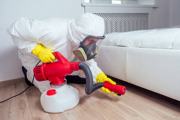 Professional Pest Control in Pomona, CA