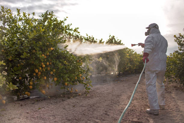Best Exterminator Services  in Pomona, CA