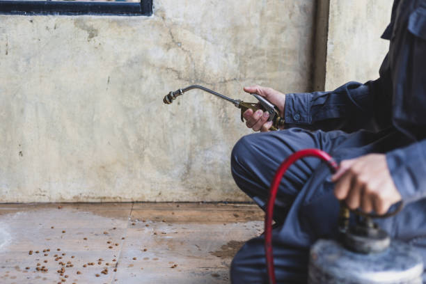Best Mosquito Control Services  in Pomona, CA