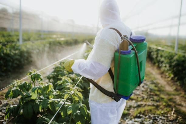 Best Residential Pest Control  in Pomona, CA